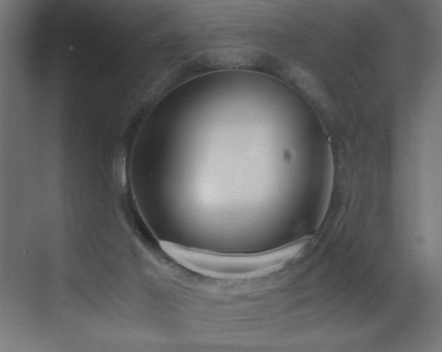 X0000073450021200607281233