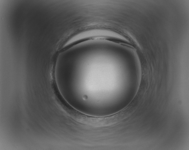 X0000073450023200607281233