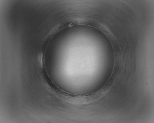 X0000073450024200607281233