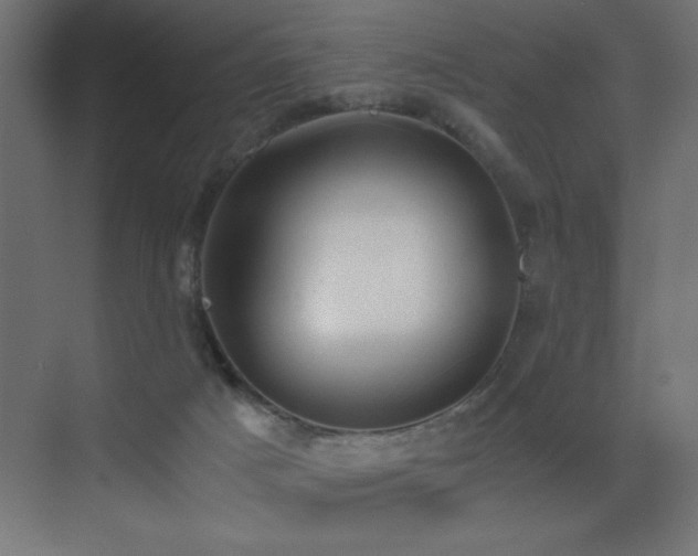 X0000073450025200607281233