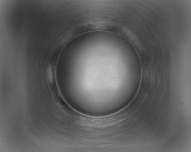 X0000073450026200607281233