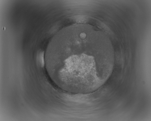 X0000073450028200607281233