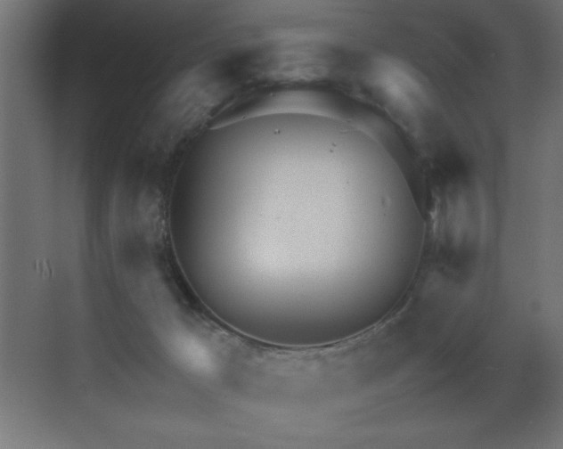 X0000073450029200607281233