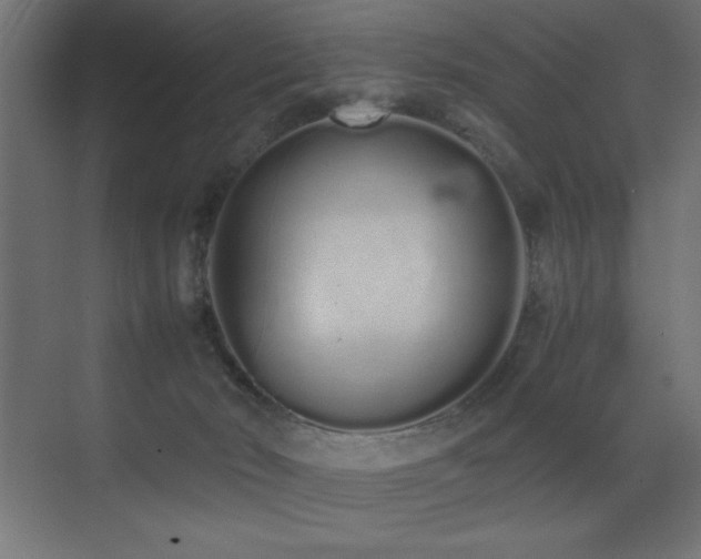 X0000073450030200607281232