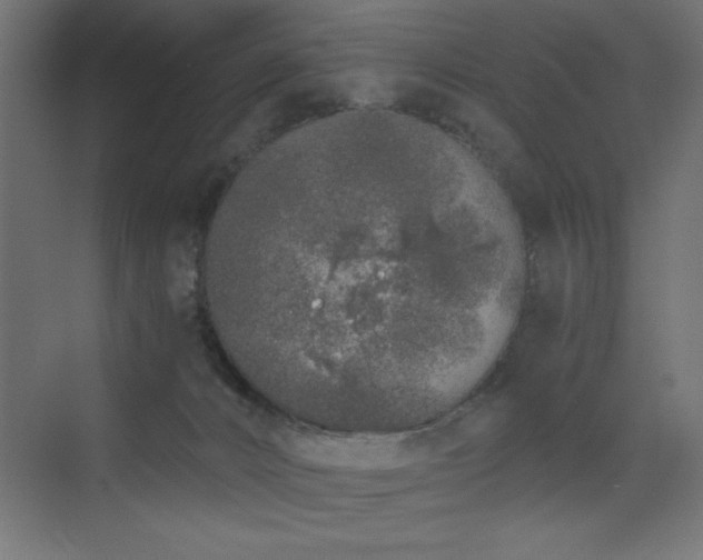 X0000073450032200607281232