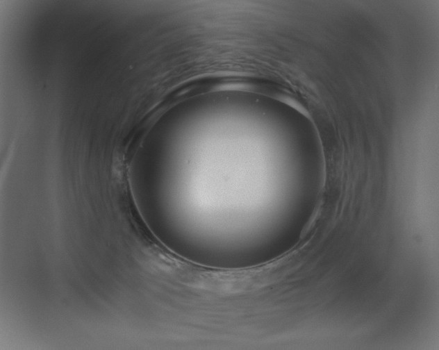 X0000073450033200607281232