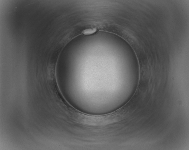 X0000073450034200607281232