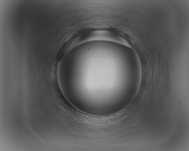 X0000073450035200607281232