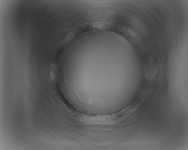 X0000073450036200607281232