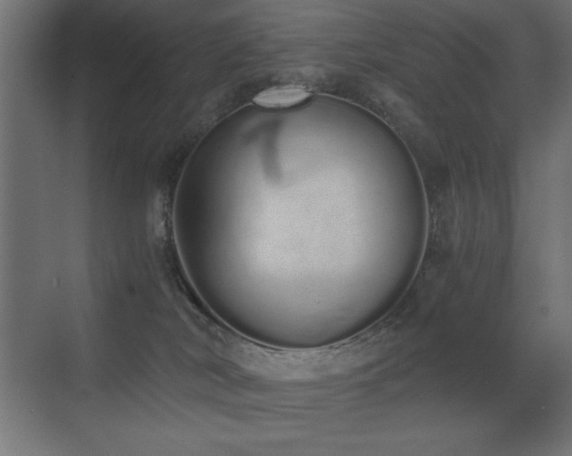 X0000073450038200607281232