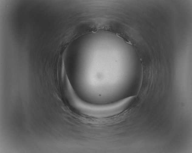 X0000073450039200607281232