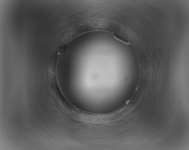 X0000073450040200607281232