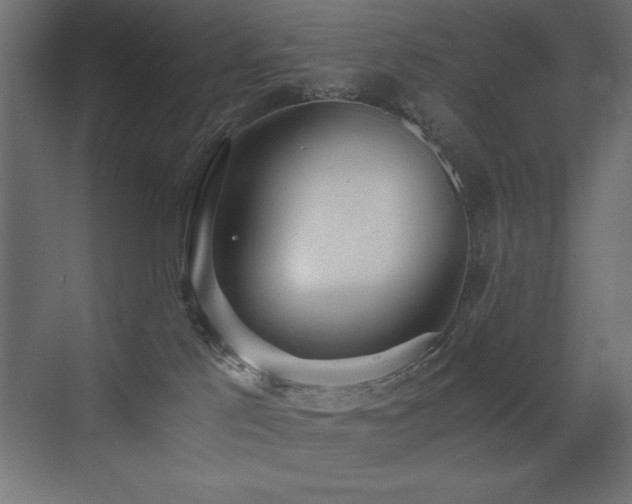 X0000073450041200607281232