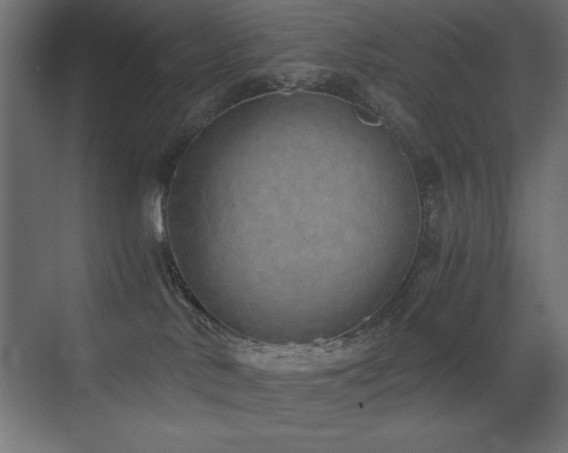 X0000073450042200607281232