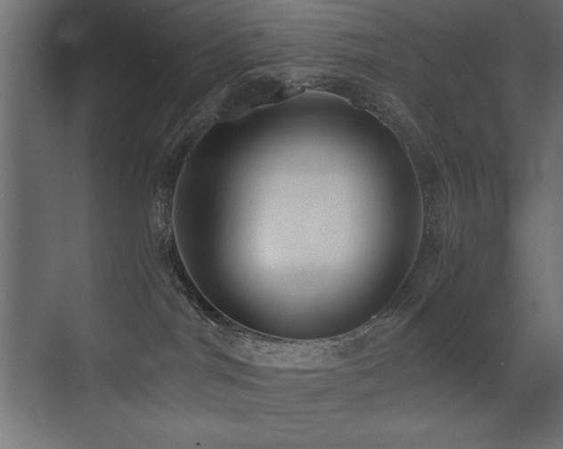 X0000073450044200607281232