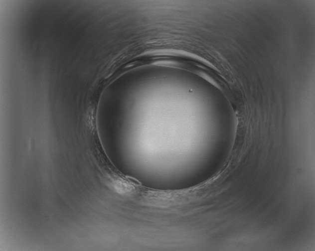 X0000073450045200607281232