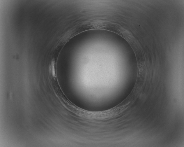 X0000073450046200607281232