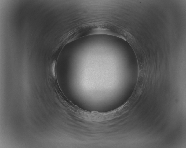 X0000073450047200607281232