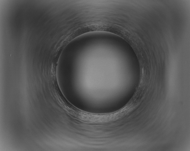 X0000073450048200607281232