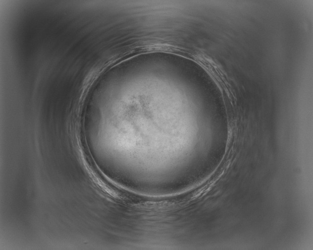 X0000073450049200607281231