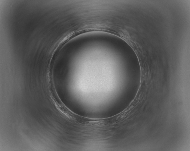 X0000073450050200607281231