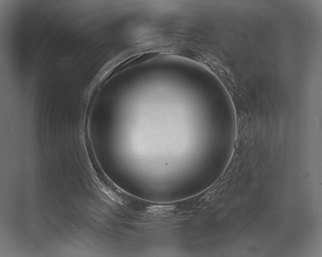 X0000073450051200607281231