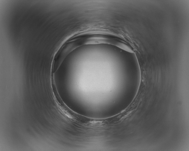 X0000073450052200607281231