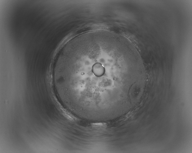 X0000073450053200607281231