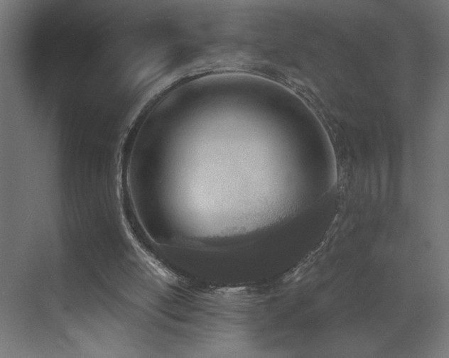 X0000073450054200607281231