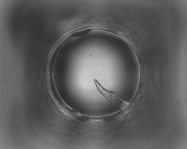 X0000073450055200607281231