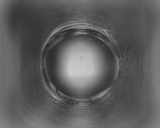 X0000073450056200607281231