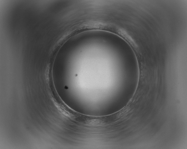 X0000073450058200607281232