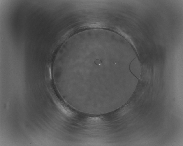 X0000073450061200607281232