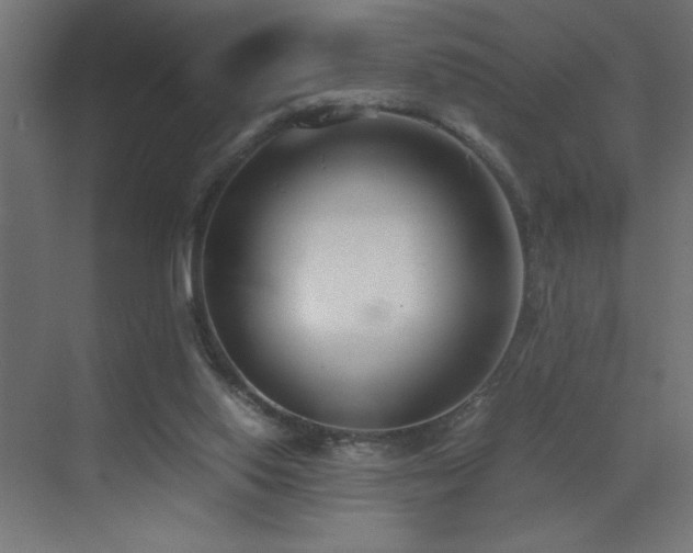 X0000073450062200607281232