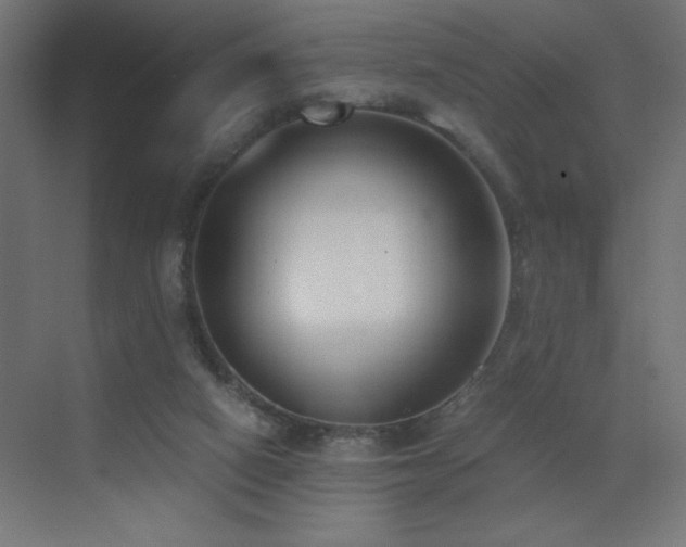 X0000073450066200607281232