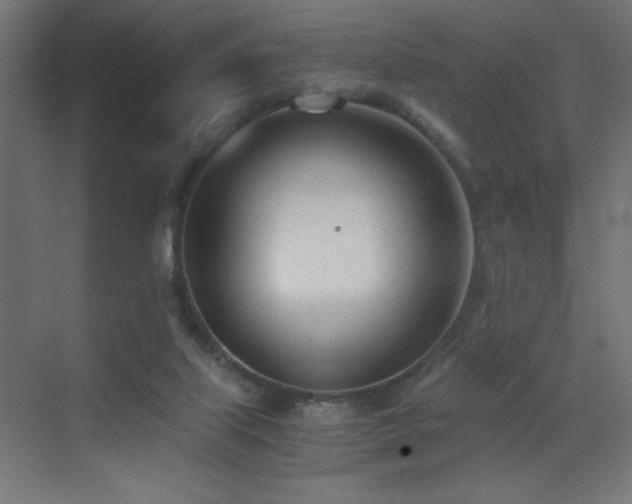 X0000073450067200607281232