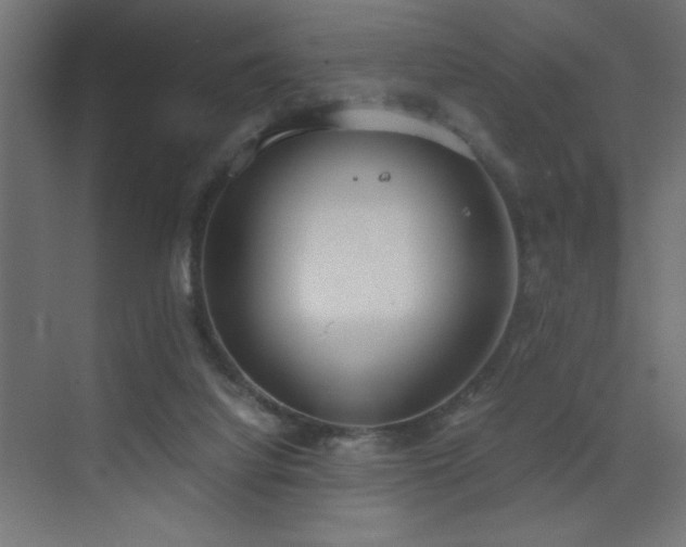 X0000073450068200607281232