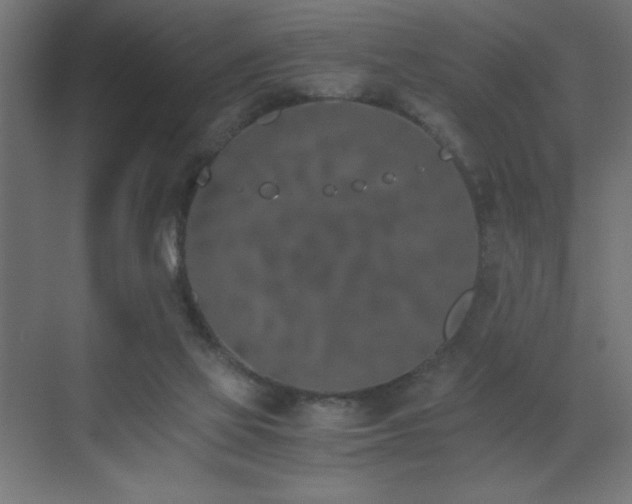 X0000073450069200607281232