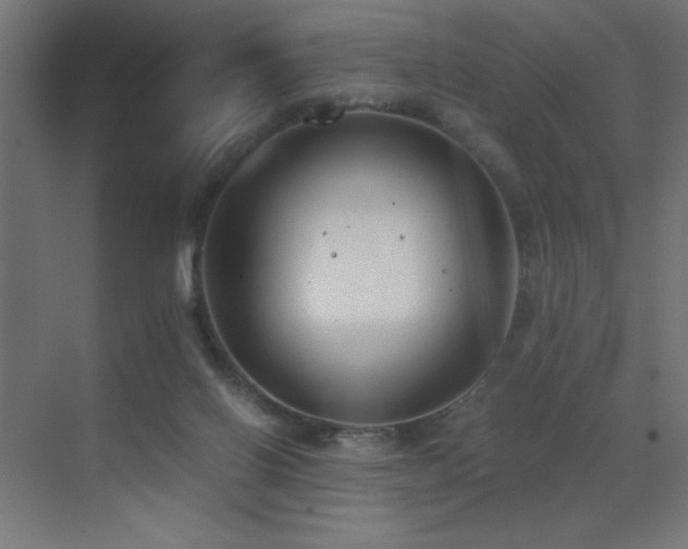 X0000073450070200607281232