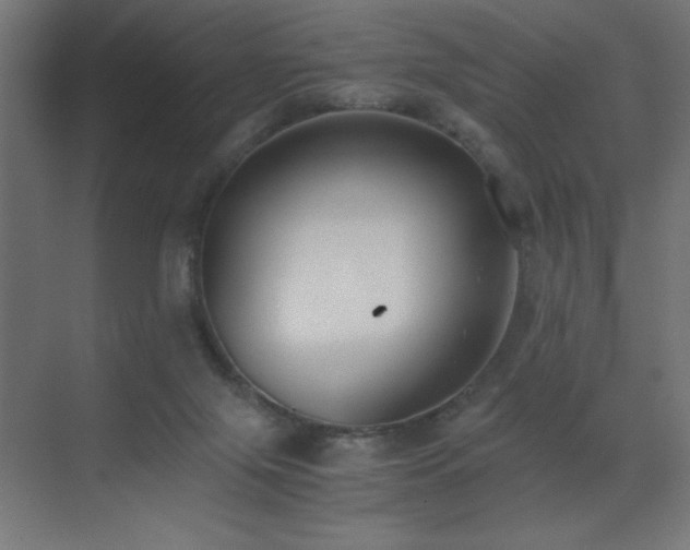 X0000073450071200607281232