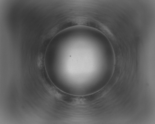 X0000073450073200607281232