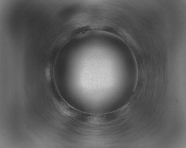 X0000073450074200607281232