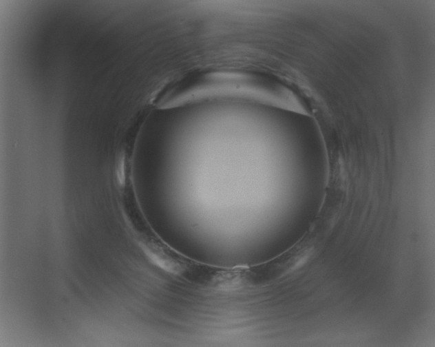 X0000073450076200607281232