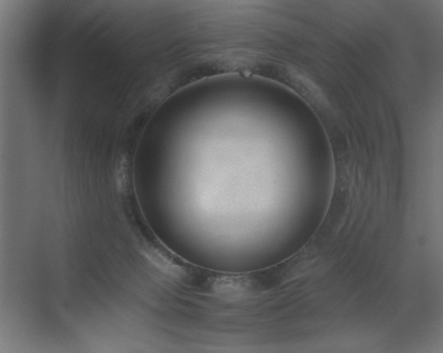 X0000073450077200607281232