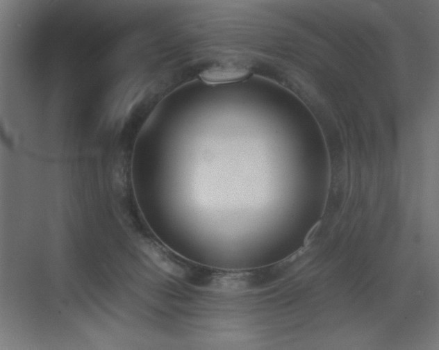 X0000073450078200607281232