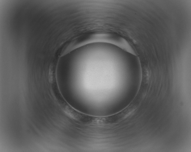 X0000073450080200607281232