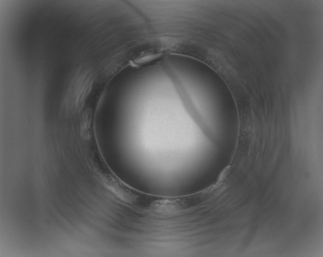 X0000073450082200607281232