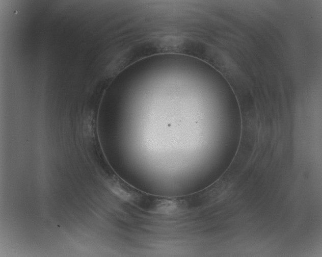 X0000073450083200607281232