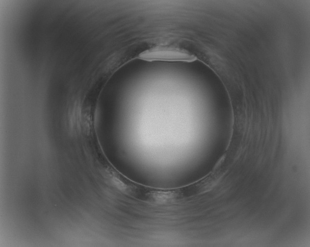 X0000073450085200607281232