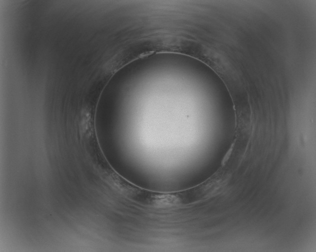 X0000073450087200607281232